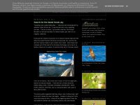 Birdingpix.blogspot.com