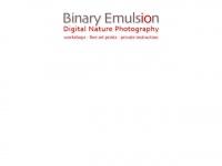 binaryemulsion.com Thumbnail