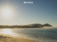 bloosee.com