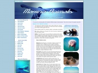marine-animals.net Thumbnail