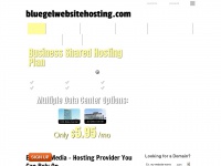 bluegelwebsitehosting.com Thumbnail