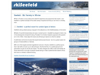Skiseefeld.com