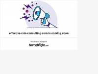 effective-crm-consulting.com Thumbnail