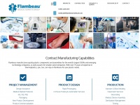 flambeaumedical.com Thumbnail