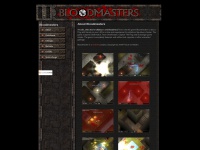 bloodmasters.com