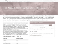 naked-mole-rat.org
