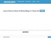 Thenicheblogger.com
