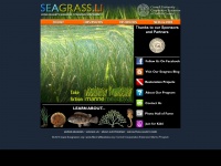 seagrassli.org