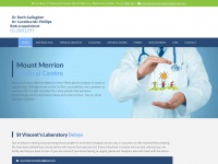 mountmerrionmedical.com