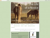 Novicelife.blogspot.com