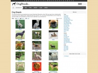 dogbreeds.net Thumbnail