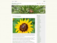 Gardeningafterfive.wordpress.com