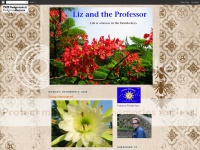 Lizandprofessor.blogspot.com