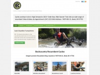backcountryrecumbentcycles.com Thumbnail
