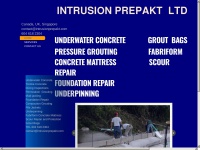 Intrusionprepakt.com