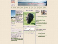 Yellowstonemagic.com