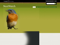 nestwatch.org Thumbnail