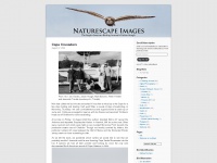 Naturescapeimages.wordpress.com