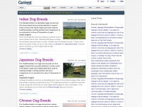 caninest.com Thumbnail