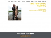 bigfishguideservice.com