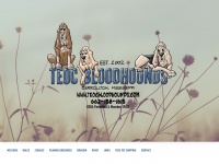 teocbloodhounds.com Thumbnail