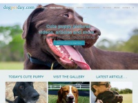 dogperday.com Thumbnail