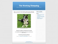 workingsheepdog.wordpress.com Thumbnail