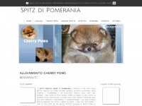 Spitzdipomerania.com