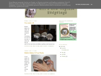 Jillsnewenglandhedgehogs.blogspot.com