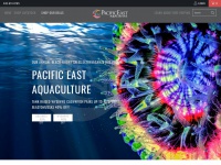 Pacificeastaquaculture.com