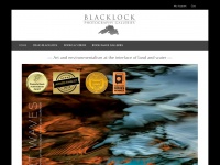 blacklockgallery.com Thumbnail