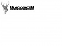 Blackwatersolutions.net