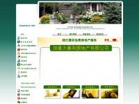 homelifechina.com
