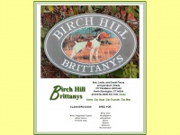 Birchhillbrittanys.com