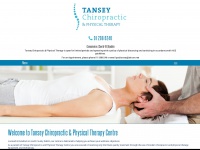 tanseychiropractic.ie Thumbnail