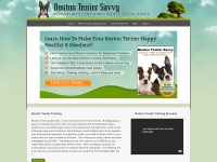Bostonterriersavvy.com
