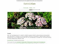 Dartmoorcam.co.uk