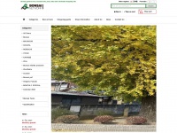 j-bonsai.com Thumbnail