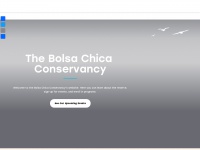 Bolsachica.org