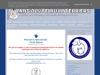 Absolutebullterriers.co.uk
