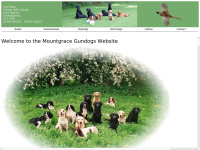 mountgrace-gundogs.co.uk Thumbnail