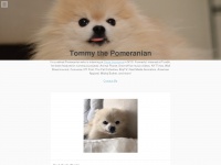 Tommypom.com
