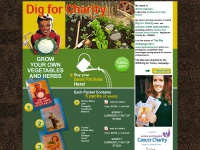 digforcharity.co.uk