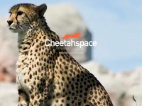 Cheetahspace.co.uk