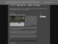 highland-tiger.blogspot.com Thumbnail