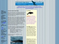 adoptrightwhales.ca