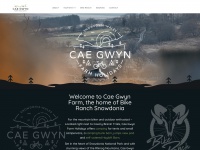 caegwynfarm.co.uk Thumbnail
