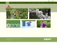 Wwbic.org.uk