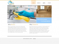 Marinacleaningservices.com