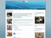 mainmast-conservation.co.uk Thumbnail